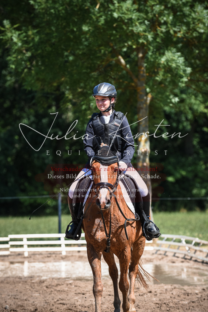 DSC_3247 | Pferde- und Turnierfotografie in Westsachsen. Pferdeportraits, Auftragszeichnungen und intuitive Kunst.
