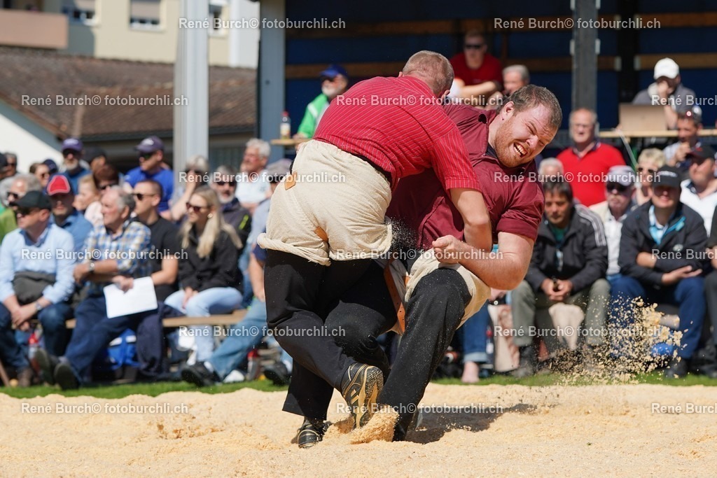20220418-DSC07566 | René Burch leidenschaftlicher Fotograf aus Kerns in Obwalden.  Hier finden sie Sport, Landschaft und Natur Fotografie.
 - Realisiert mit Pictrs.com