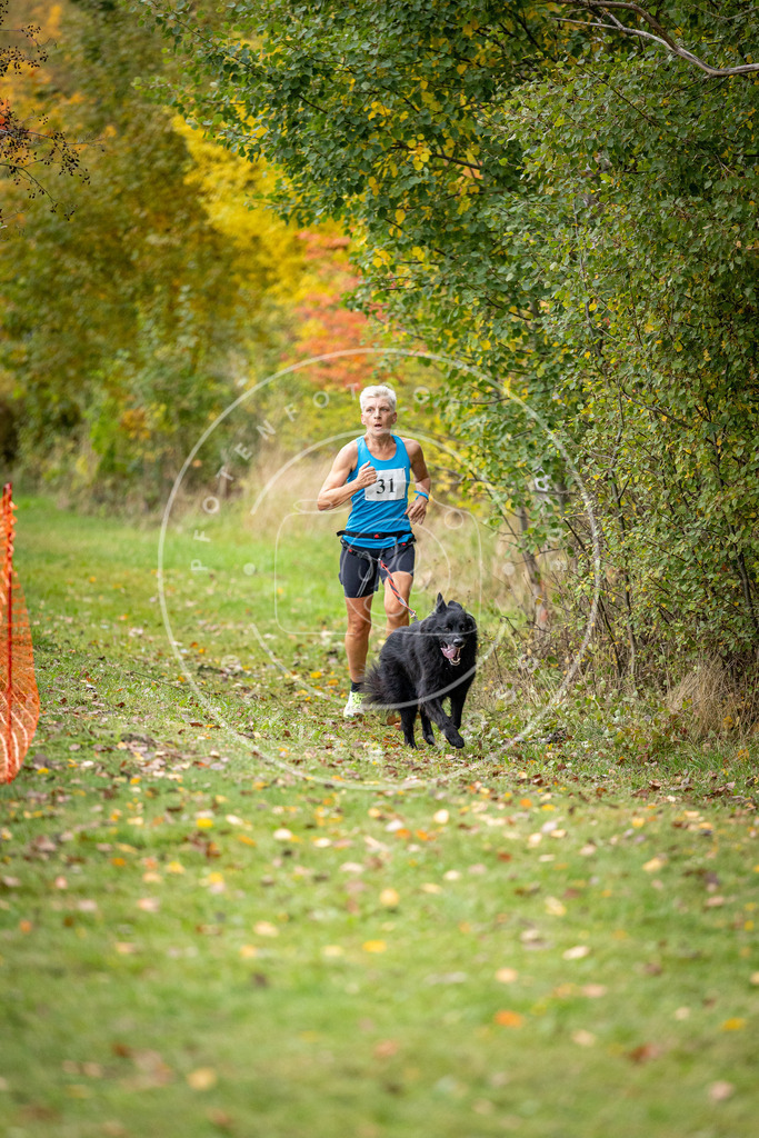 Pfotenfotografie_DV3A2103 | Hundefotografie, Tierfotograf, Pfotenfotografie, Fotoshooting Hund, Hunde Portrait, Hundesport, Hundeportraits, Heideshooting, Hunde, Sportfotograf, Hundefotograf, Turnierhundsport, THS,  - Realisiert mit Pictrs.com