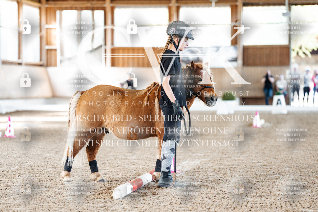 CK905275 | Turnierfotografie Pferdefotografie Trier Rheinland-Pfalz Pferdesport Reitsport Tierfotografie Sportfotografie Pferdevideo Pferdevideografie Equestrianvideography equestrianphotography  - Realisiert mit Pictrs.com