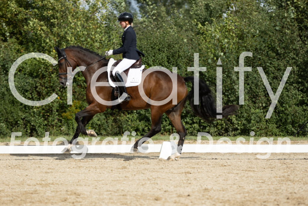 IMG_7044 | Creatify Fotografie