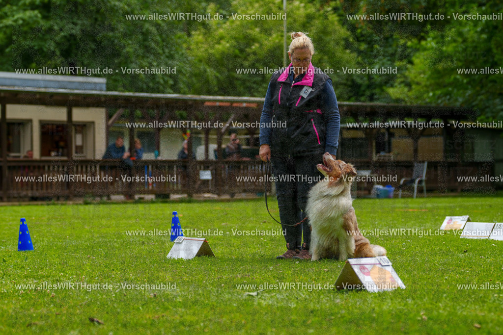 @allesWIRTHgut_Tierfotografie - www.allesWIRTHgut.de - 7R501278 | Professionelle Tierfotografie in Mönchengladbach von Daniel Wirth (allesWIRTHgut). Liebevolle & natürliche Bilder von Hunden & Katzen für unvergessliche Erinnerungen.
