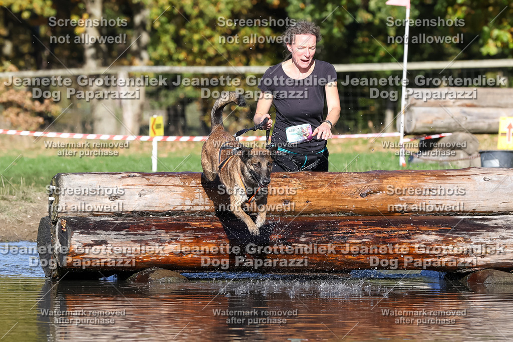 Dog Paparazzi - Strongdog 10-25-8963 | Dog Paparazzi Jeanette Grottendiek Fotografie & Videografie - Realisiert mit Pictrs.com