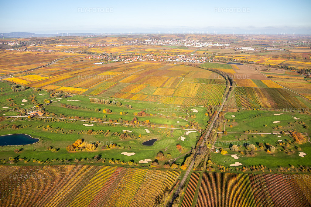 Luftbild: Golfgarten Deutsche Weinstraße in Dackenheim im Bundesland Rheinland-Pfalz in Deutschland. Foto: IMG_123520.jpg vom 31.10.2020 durch Werner Riehm/FLY-FOTO.de