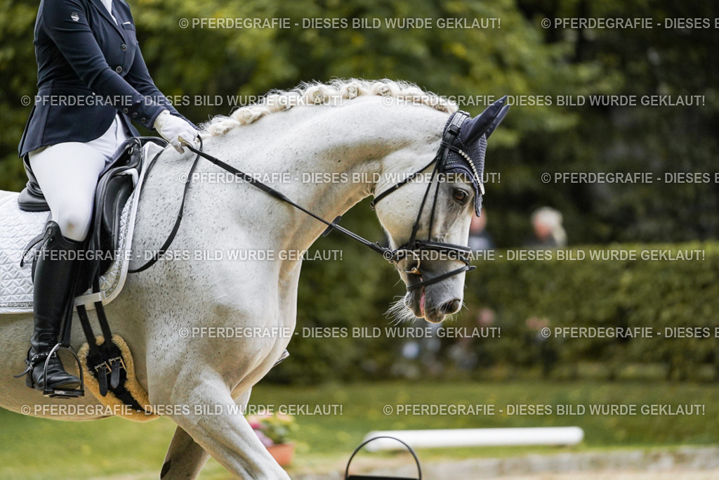 DSC06543 | Pferdegrafie