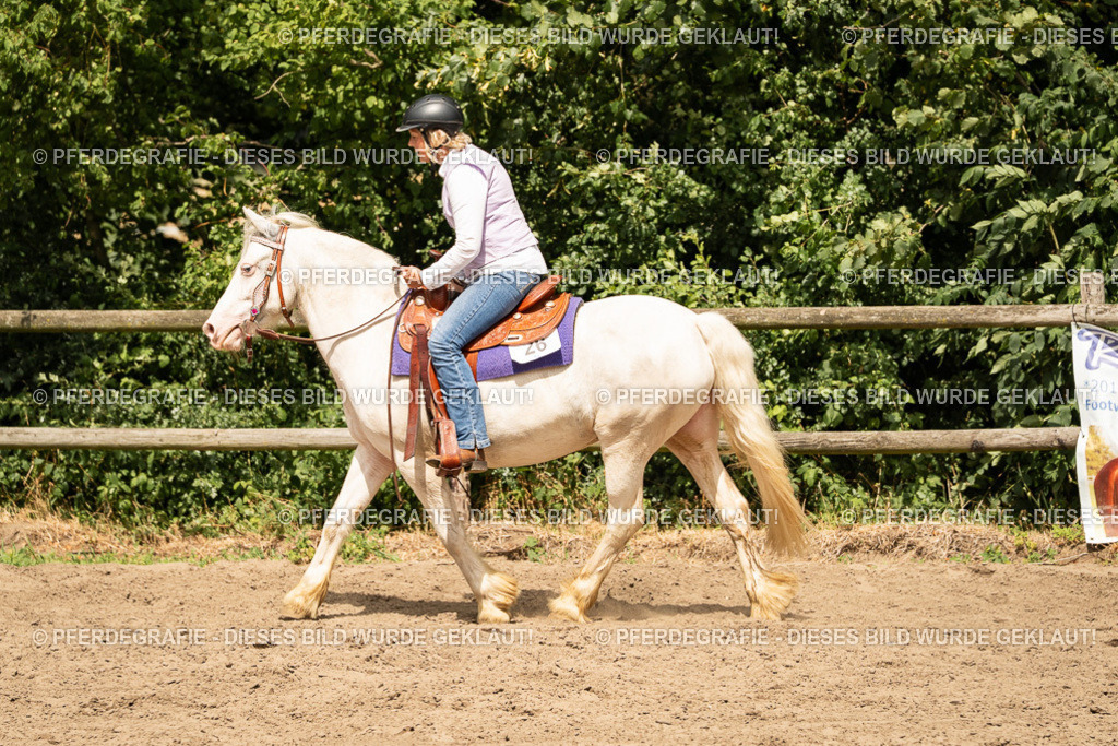 DSC00947 | Pferdegrafie