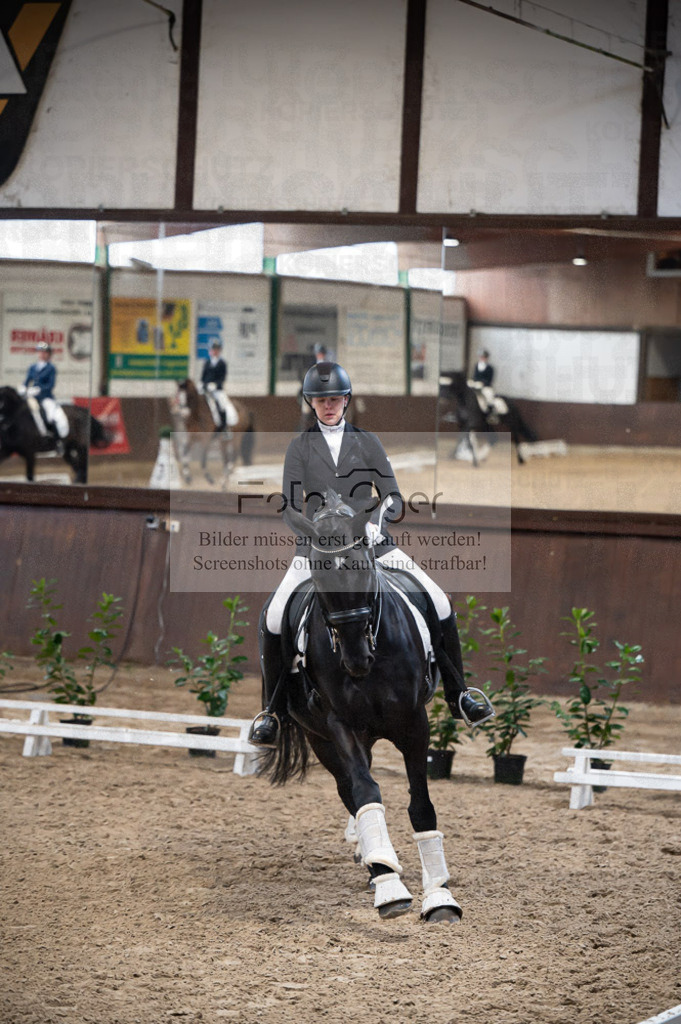 Hallenreittunier Voxtrup 2023 | Entdecke hochwertige Reitturnierfotos von Foto Oger. Professionell, emotional und authentisch – jetzt Lieblingsmomente im Shop bestellen.Deutschlandweite Turnierfotografie. - Realisiert mit Pictrs.com