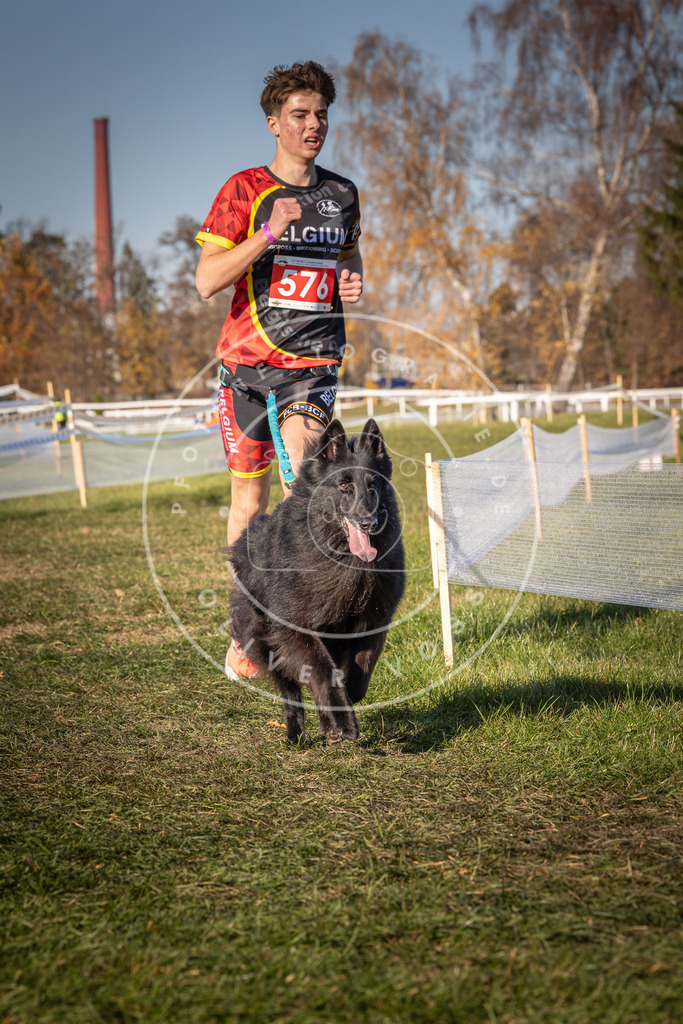 CaniXpix_0L8A8142 | Hundefotografie, Tierfotograf, Pfotenfotografie, Fotoshooting Hund, Hunde Portrait, Hundesport, Hundeportraits, Heideshooting, Hunde, Sportfotograf, Hundefotograf, Turnierhundsport, THS,  - Realisiert mit Pictrs.com
