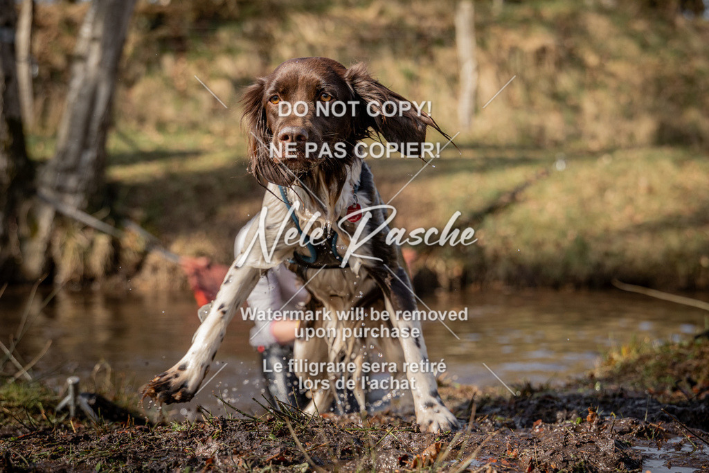 nelerasche_FS1330-1400_333 | nelerasche