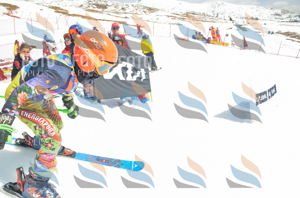 _ELE6429 | holidayphoto