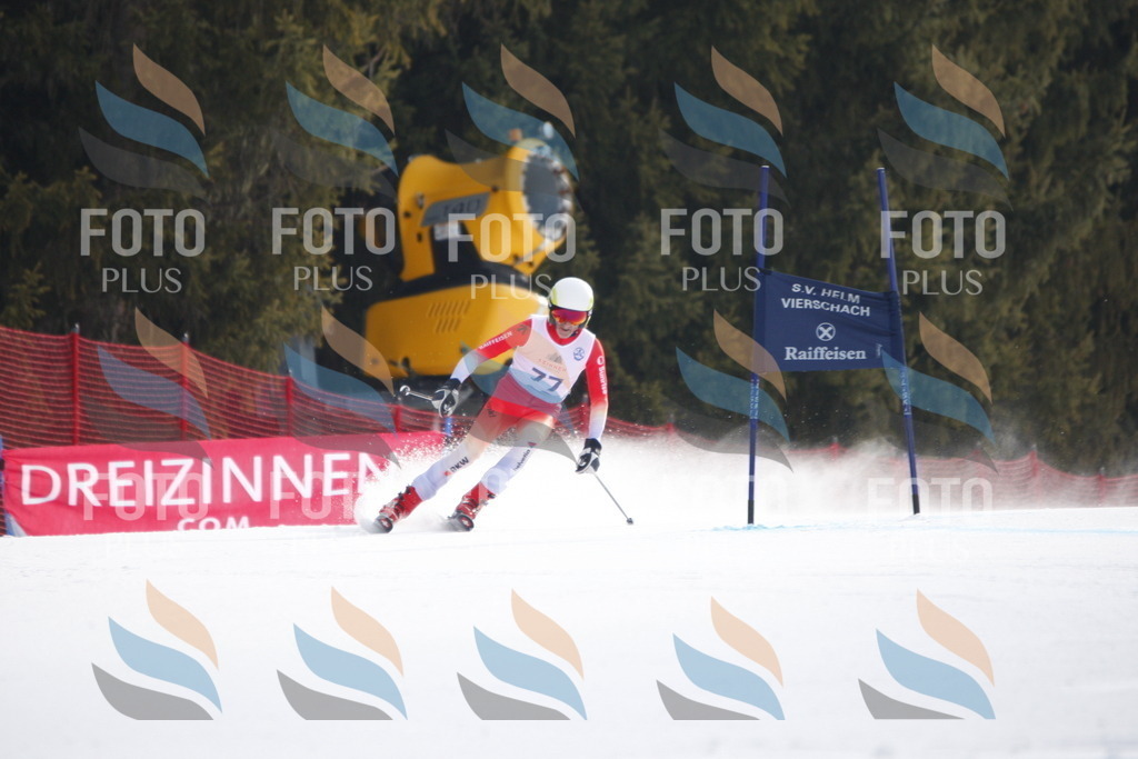 D5936 | holidayphoto