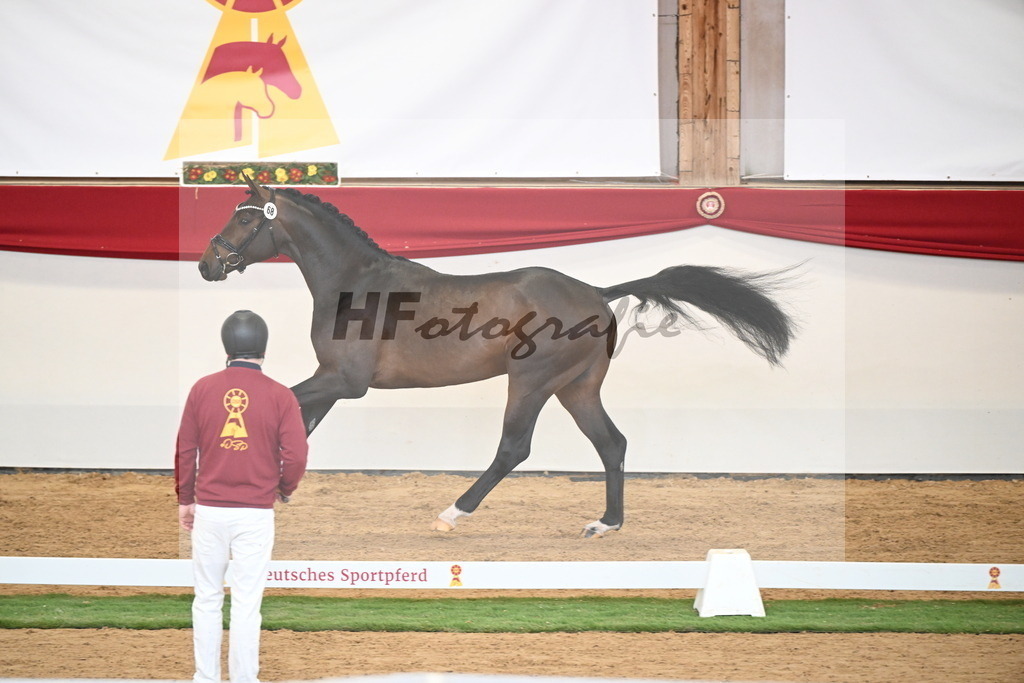 Kat.-Nr. 68 v. Fynch Hatton_Kampe_2250494 | hf-fotografie - Realisiert mit Pictrs.com