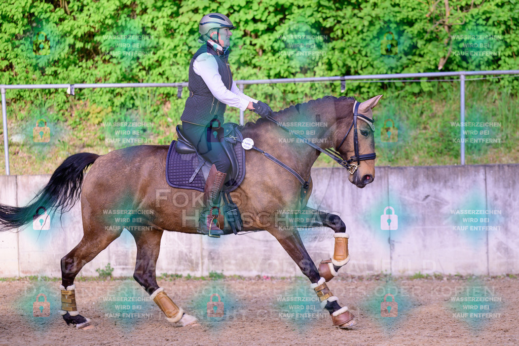 02052026-Giesenbach-03-Speedtrail-0947 | Fokus Hufschlag Fotografie - Realisiert mit Pictrs.com