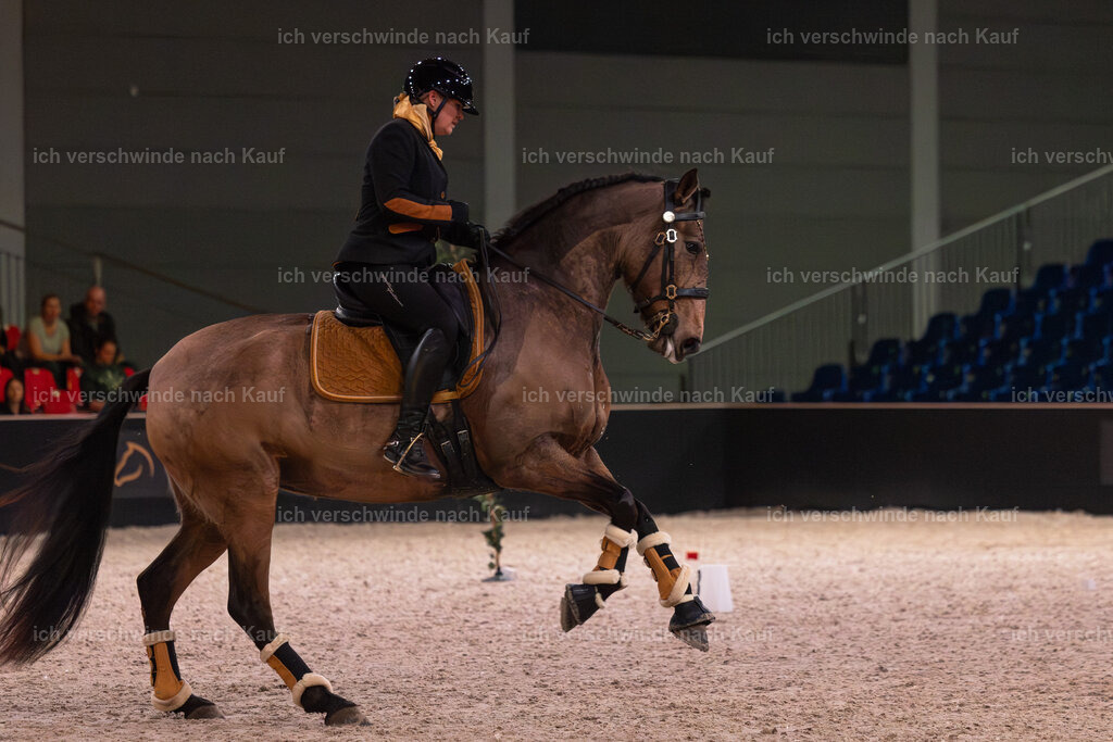 JoseraCup-64 | working equitationturnier fotograf videograf stoibphotography marixx film working equitation deutschland reitsport turnierfotografie eventfotografie equestrian events