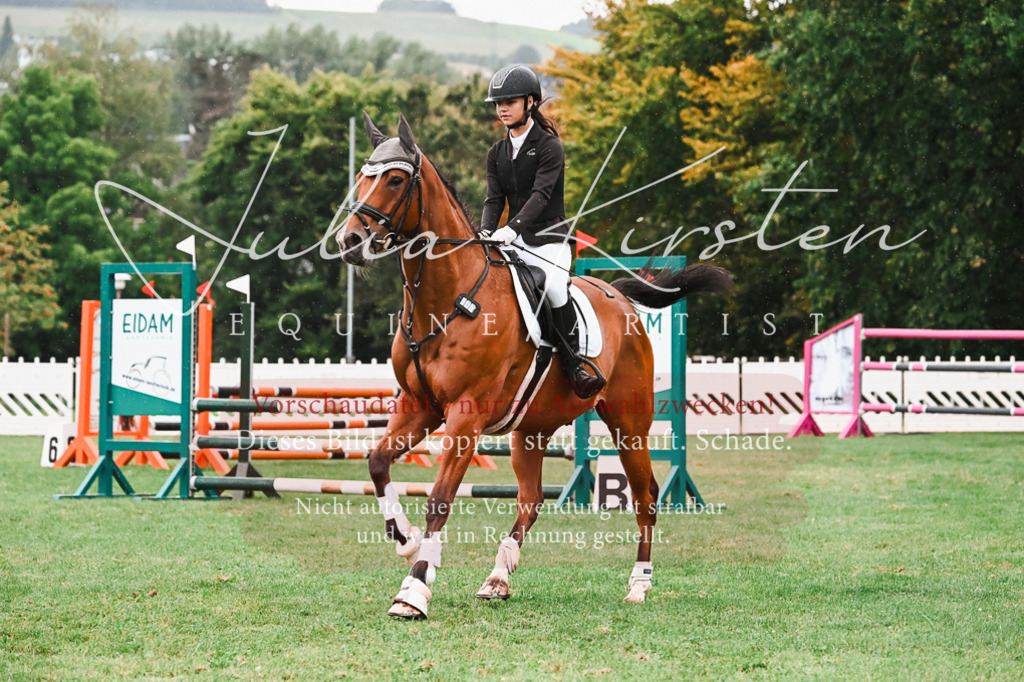 DSC_6637 | Pferde- und Turnierfotografie in Westsachsen. Pferdeportraits, Auftragszeichnungen und intuitive Kunst.