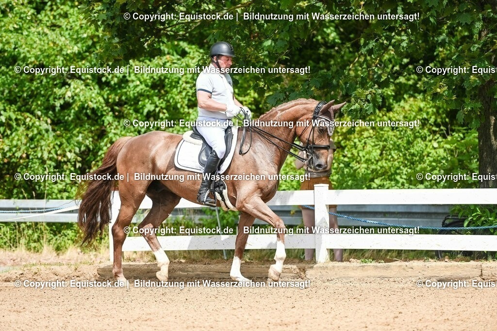 20230716_01_Dressurprüfung Kl.M_0080 | equistock