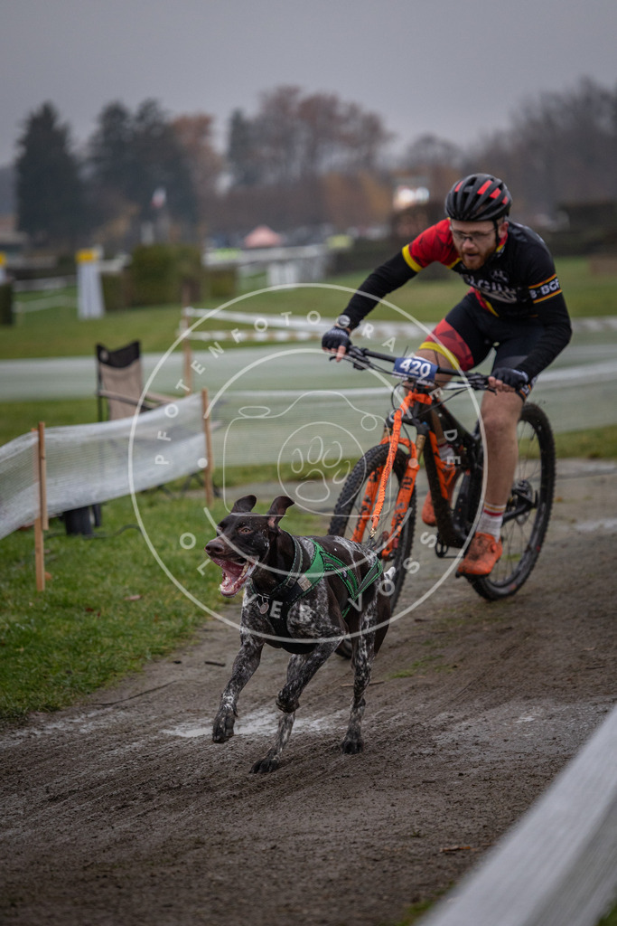 CaniXpix_0L8A1618 | Hundefotografie, Tierfotograf, Pfotenfotografie, Fotoshooting Hund, Hunde Portrait, Hundesport, Hundeportraits, Heideshooting, Hunde, Sportfotograf, Hundefotograf, Turnierhundsport, THS,  - Realisiert mit Pictrs.com