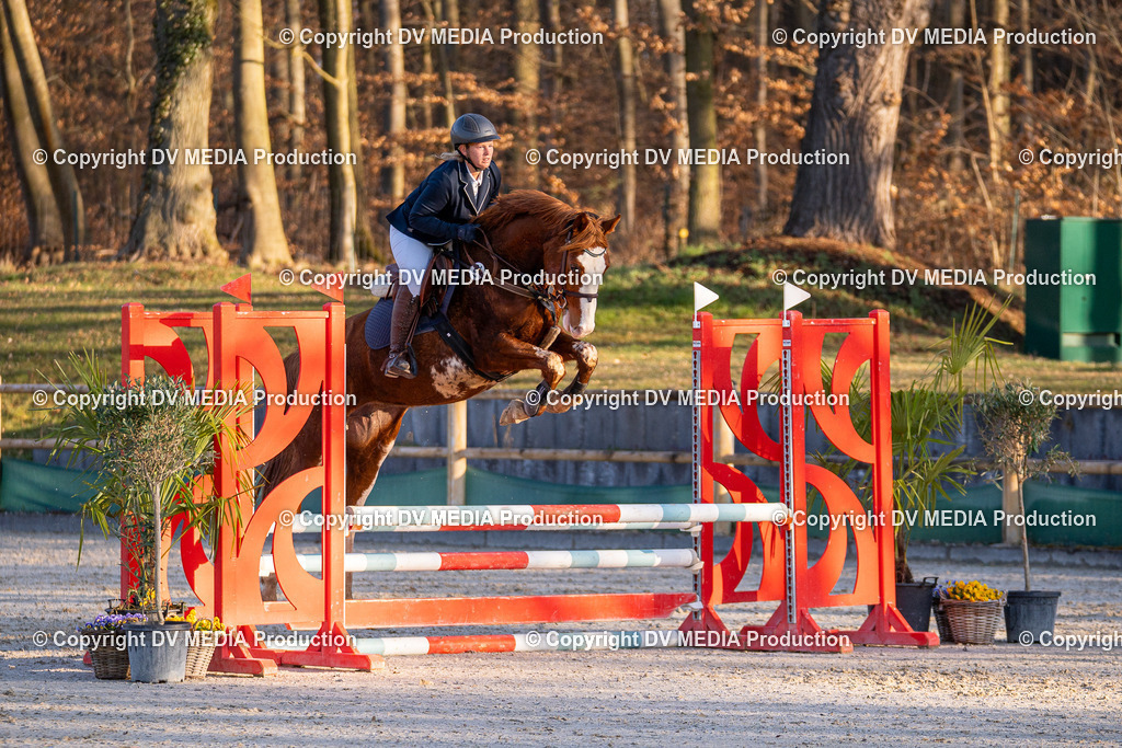 DSC-186 | dv-media-shop - Realisiert mit Pictrs.com