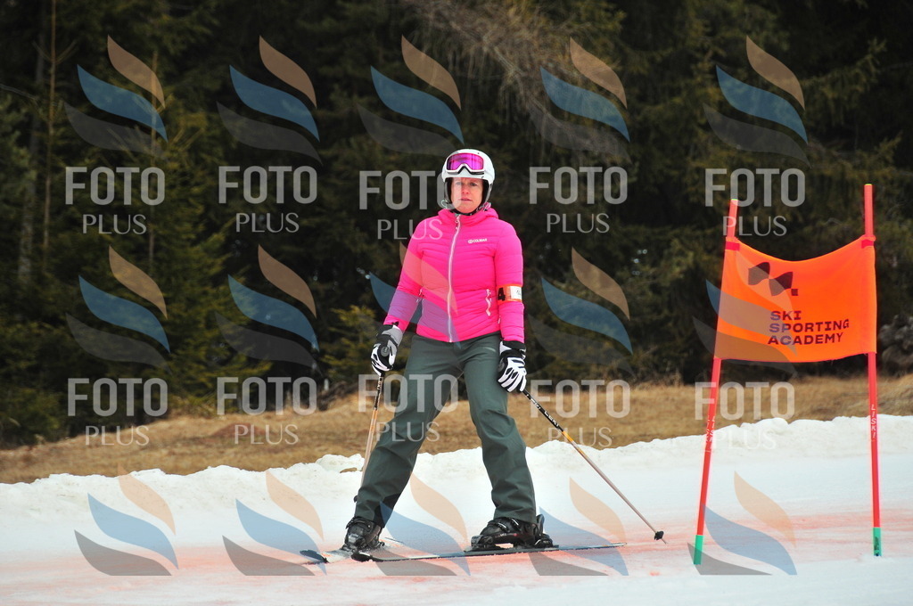 C1015 | holidayphoto