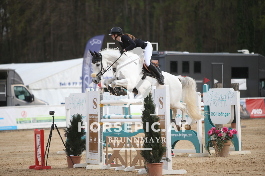 PP018504 | Willkommen bei Brunnmayr - Design & Fotografie – Ihrem Spezialisten für Reitturniere und Pferdeveranstaltungen in Oberösterreich, Salzburg und Bayern! Seit über 17 Jahren sind wir leidenschaftlich dabei.