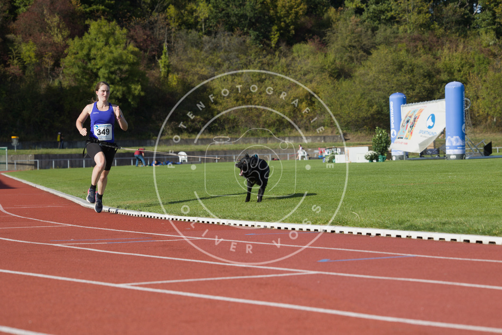 0L8A9582 | Hundefotografie, Tierfotograf, Pfotenfotografie, Fotoshooting Hund, Hunde Portrait, Hundesport, Hundeportraits, Heideshooting, Hunde, Sportfotograf, Hundefotograf, Turnierhundsport, THS,  - Realisiert mit Pictrs.com