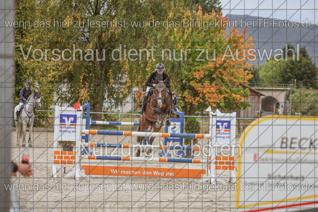 2025-09-22_11-13-39_MG_9208 | TE-Fotos