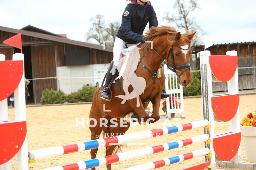 DL2Q1669 | Willkommen bei Brunnmayr - Design & Fotografie – Ihrem Spezialisten für Reitturniere und Pferdeveranstaltungen in Oberösterreich, Salzburg und Bayern! Seit über 17 Jahren sind wir leidenschaftlich dabei.