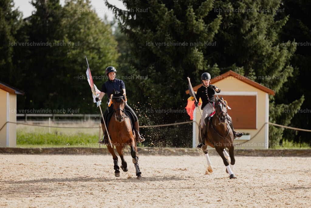 Virginie12FHC2025-177 | working equitationturnier fotograf videograf stoibphotography marixx film working equitation deutschland reitsport turnierfotografie eventfotografie equestrian events