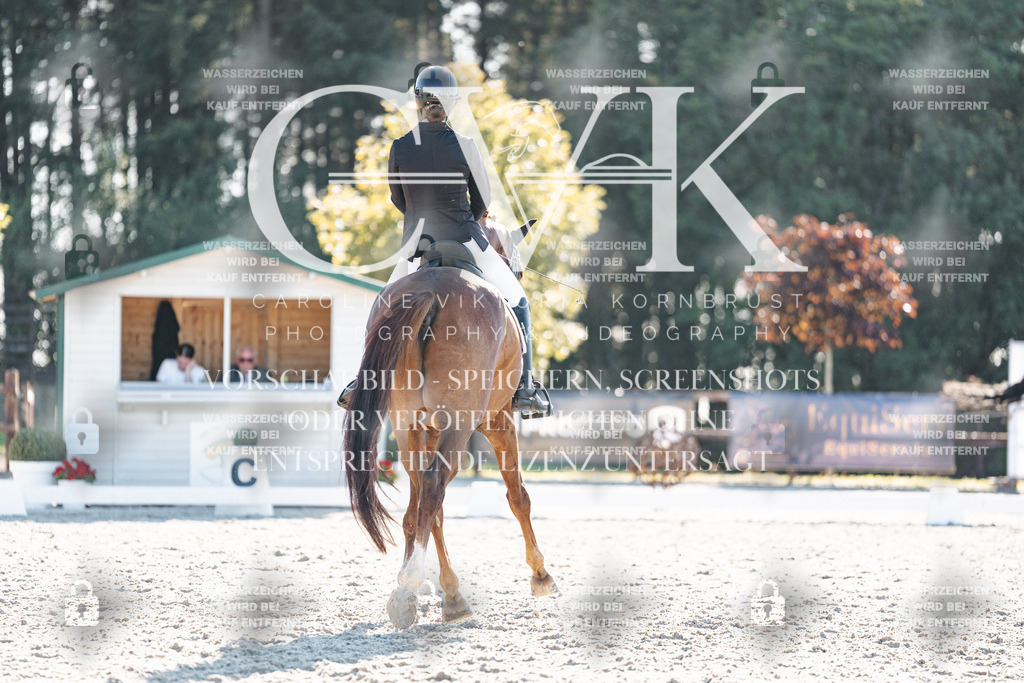 CK906651 | Turnierfotografie Pferdefotografie Trier Rheinland-Pfalz Pferdesport Reitsport Tierfotografie Sportfotografie Pferdevideo Pferdevideografie Equestrianvideography equestrianphotography  - Realisiert mit Pictrs.com