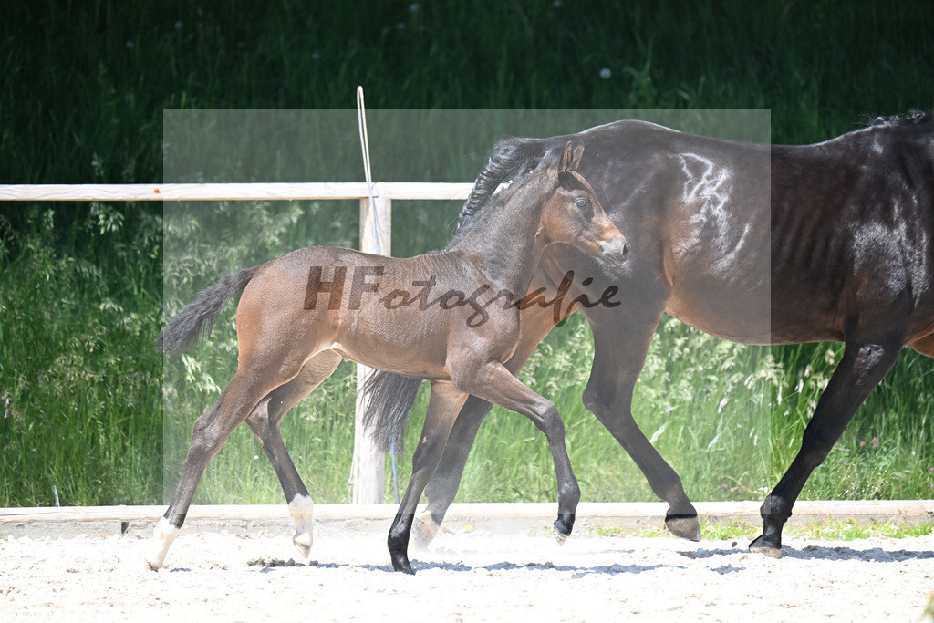 Feliciano x Ray Ban_SF_Stadelmann_10250560 | hf-fotografie - Realisiert mit Pictrs.com