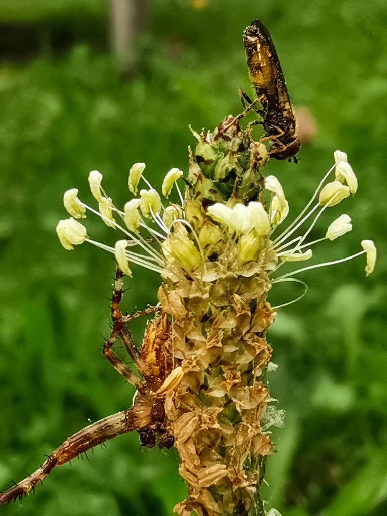 PSX_20230825_224317 | mtkfoto_ - Realisiert mit Pictrs.com