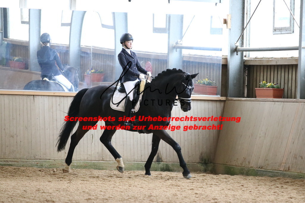 IMG_7682 | lmwpictures - Realisiert mit Pictrs.com