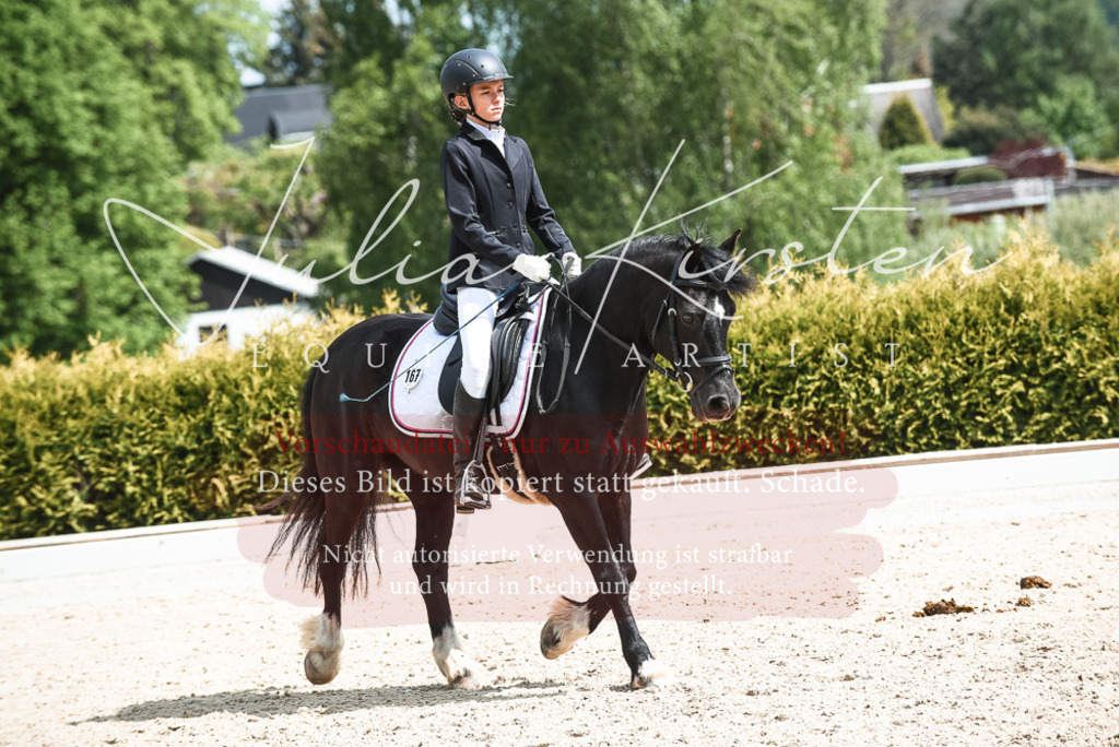 20230518_JK-Röhrsdorf-11-0749 | Pferde- und Turnierfotografie in Westsachsen. Pferdeportraits, Auftragszeichnungen und intuitive Kunst.