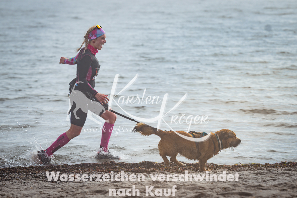 1139_ZZ99984 | kk-dogfotos