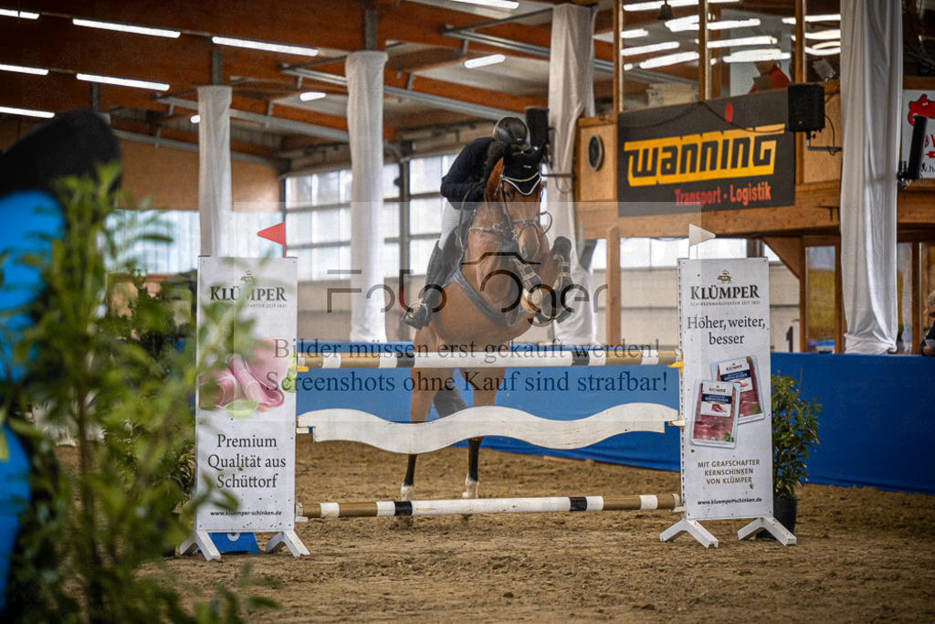 DOS_0943 | Entdecke hochwertige Reitturnierfotos von Foto Oger. Professionell, emotional und authentisch – jetzt Lieblingsmomente im Shop bestellen.Deutschlandweite Turnierfotografie. - Realisiert mit Pictrs.com