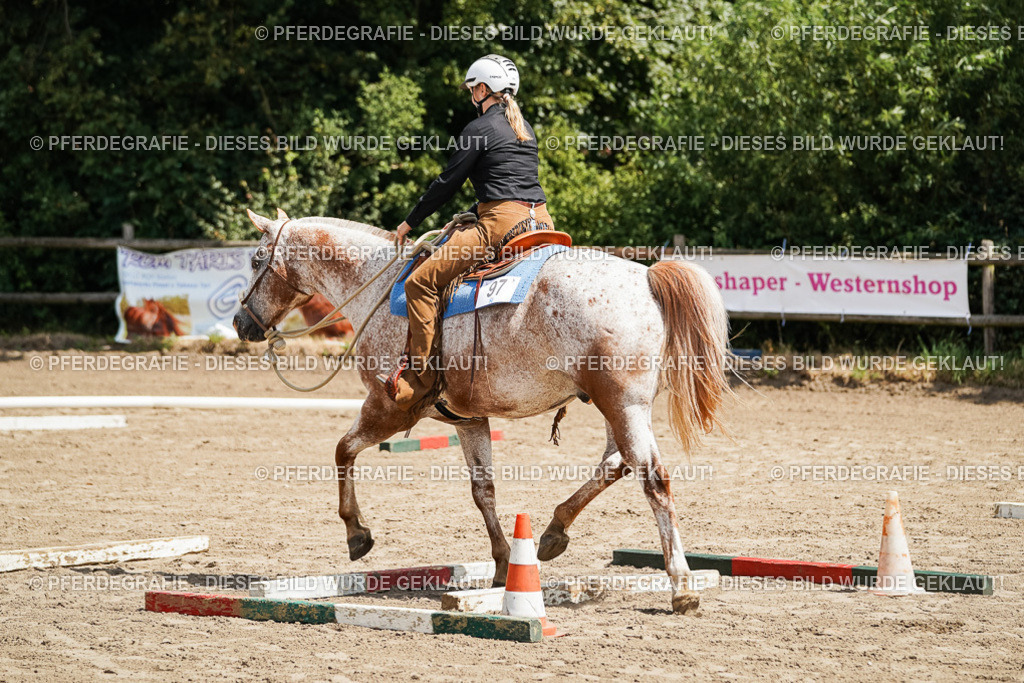 DSC06325 | Pferdegrafie