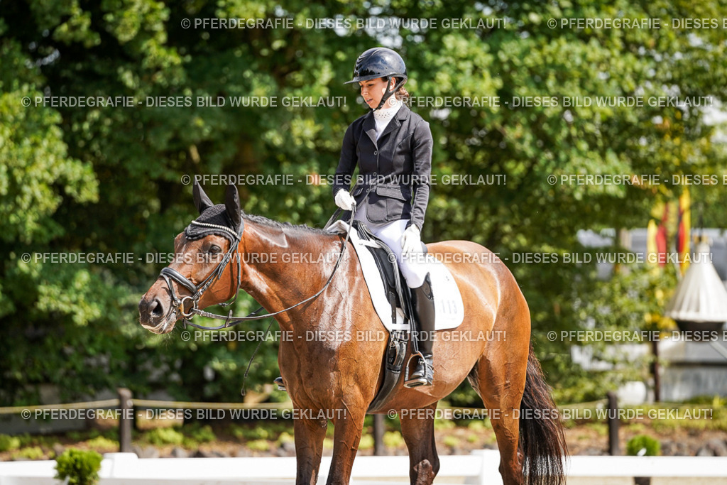 DSC08675 | Pferdegrafie