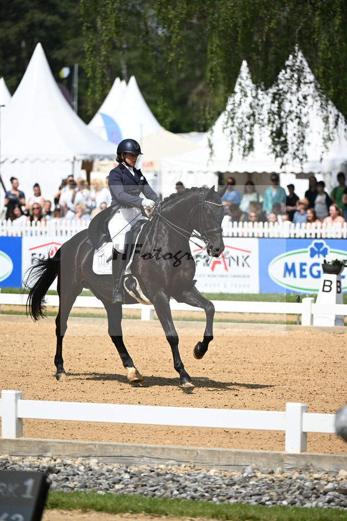 Merk_Sambuco_12243638 | hf-fotografie - Realisiert mit Pictrs.com