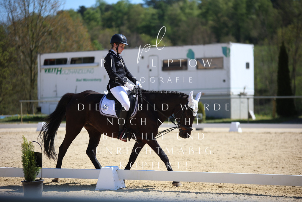 IMGT1044 | pl-fotografie