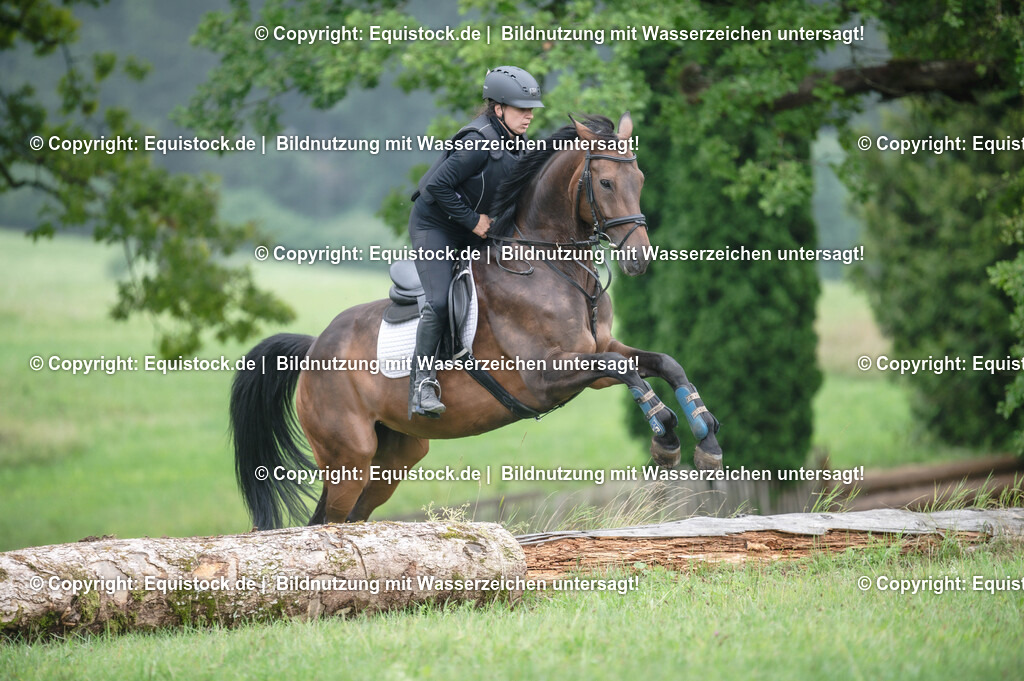 20250726_Vielseitigkeitslehrgang-Marbach_0366 | Foto: Thomas Hartig