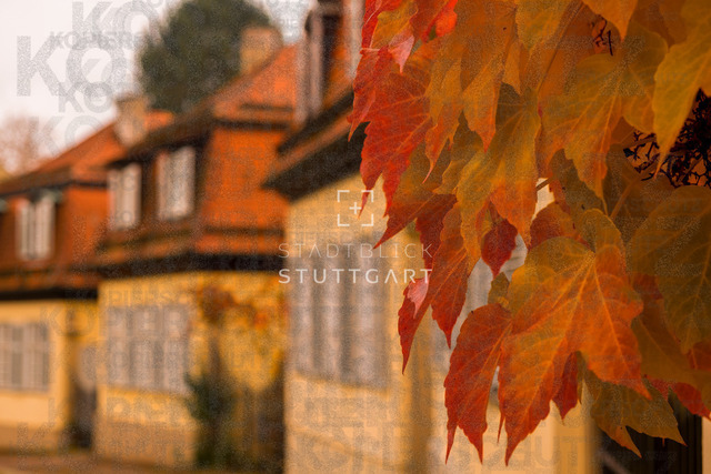 DSCF9468 | "Entdecken Sie atemberaubende Bilder von Stuttgart im Fotowerk Stuttgart! Kaufen Sie hochwertige Fotos auf Leinwand oder laden Sie digitale Downloads für Ihre Wohnung oder Büros herunter.  - Realisiert mit Pictrs.com