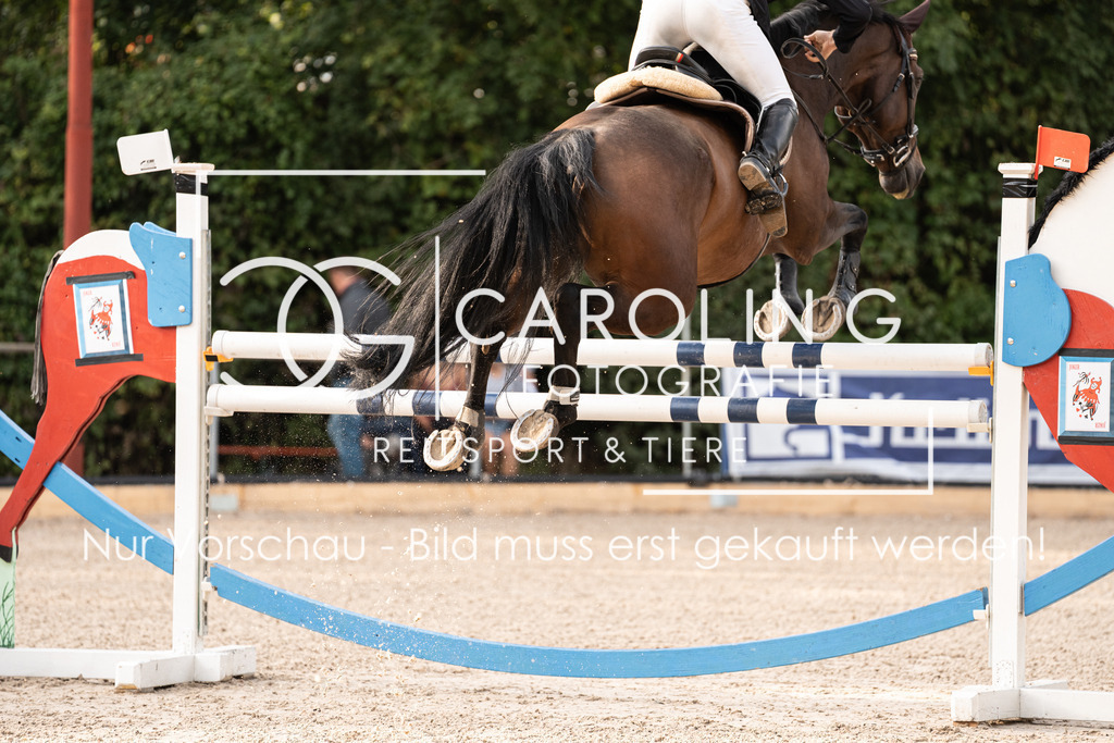 DSC02945 | Carolin Gieschke