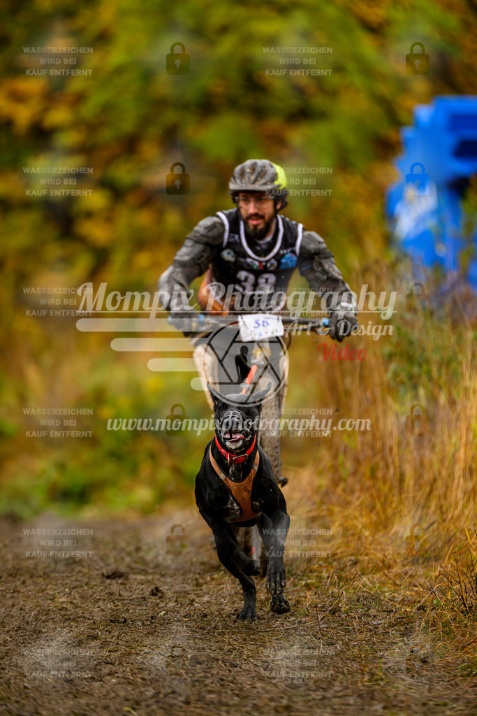 MompixPhotography_ICF_WC_2024_SA_DS_-71 | PayLife
