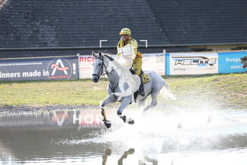 DL2Q3165 | Willkommen bei Brunnmayr - Design & Fotografie – Ihrem Spezialisten für Reitturniere und Pferdeveranstaltungen in Oberösterreich, Salzburg und Bayern! Seit über 17 Jahren sind wir leidenschaftlich dabei.