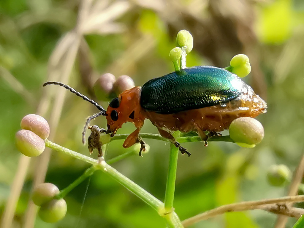 PSX_20230912_223814 | mtkfoto_ - Realisiert mit Pictrs.com