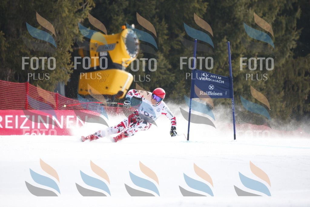 D6479 | holidayphoto