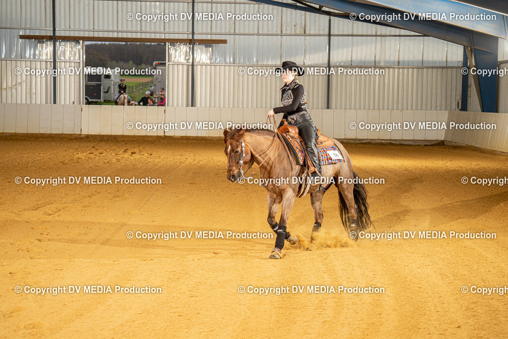 MIT00545 | dv-media-shop - Realisiert mit Pictrs.com