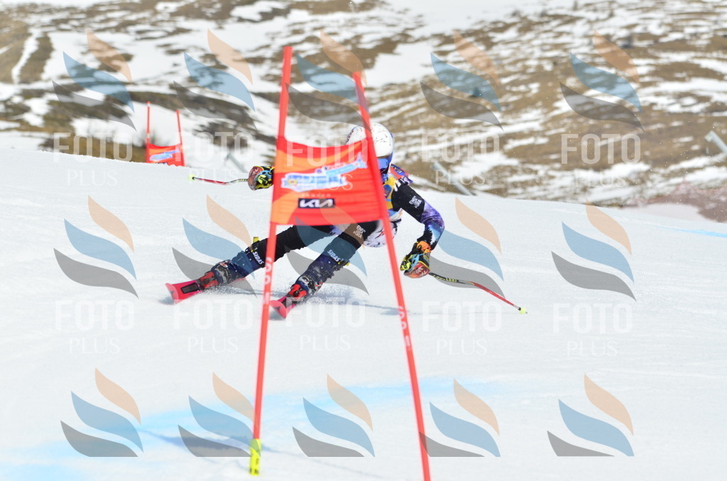 _ELE2104 | holidayphoto