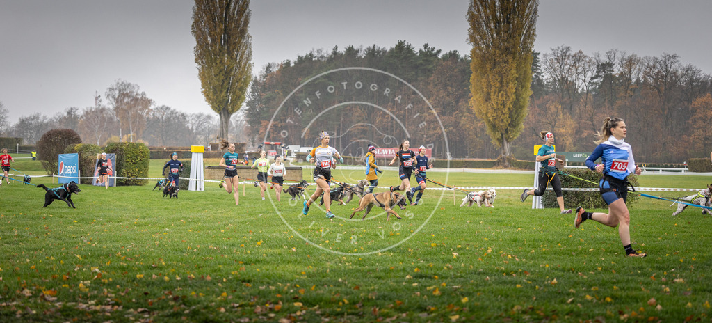 CaniXpix_DV3A8845 | Hundefotografie, Tierfotograf, Pfotenfotografie, Fotoshooting Hund, Hunde Portrait, Hundesport, Hundeportraits, Heideshooting, Hunde, Sportfotograf, Hundefotograf, Turnierhundsport, THS,  - Realisiert mit Pictrs.com