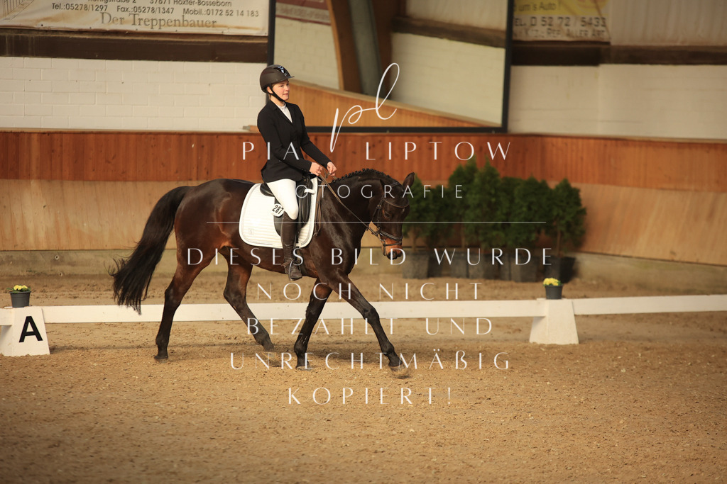 IMGT4097 | pl-fotografie